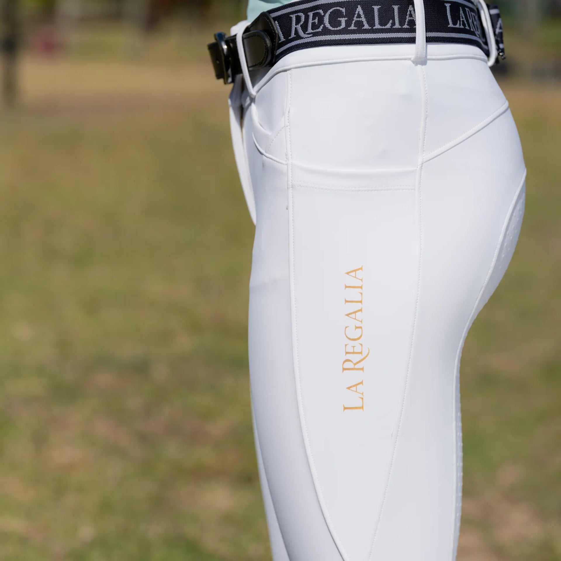 Mancha Breeches